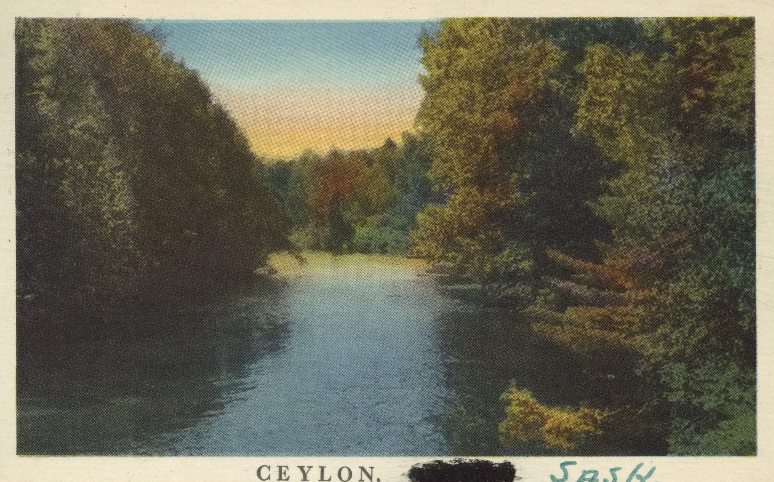 Creek lined with trees, Ceylon