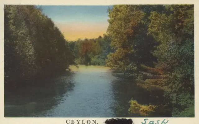 Creek lined with trees, Ceylon